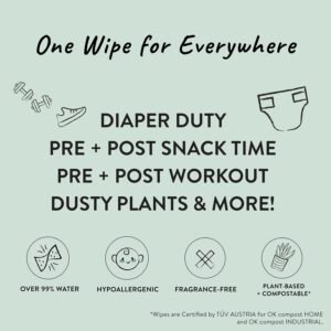 Honest Company Unscented Baby Wipes | 576 Count | Eco-Friendly, Hypoallergenic - Image 3