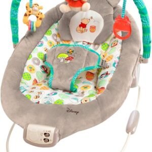 Disney Baby Winnie The Pooh Bouncer, Dots and Hunny Pots