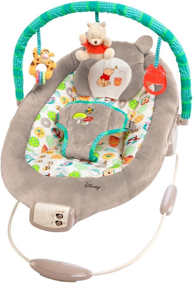 Disney Baby Winnie The Pooh Bouncer, Dots and Hunny Pots