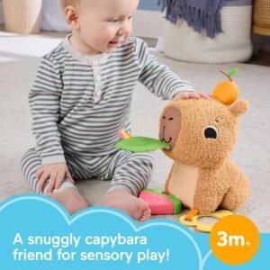 Fisher-Price Snuggly Snacky Capybara Plush Toy with Teether & Rattle - Image 2
