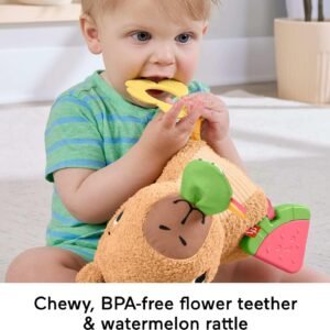Fisher-Price Snuggly Snacky Capybara Plush Toy with Teether & Rattle - Image 4
