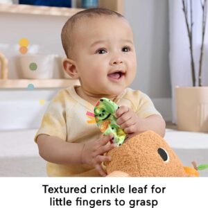 Fisher-Price Snuggly Snacky Capybara Plush Toy with Teether & Rattle - Image 5