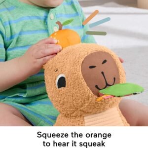 Fisher-Price Snuggly Snacky Capybara Plush Toy with Teether & Rattle - Image 3