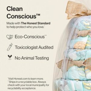 Honest Company Diaper Cake | Clean, Plant-Based Size 1 Diapers & Wipes - Image 5