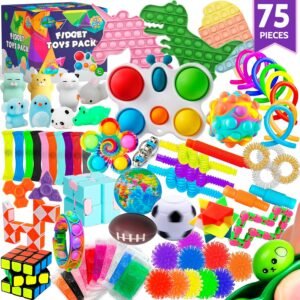 75 PCS Fidget Toy Pack