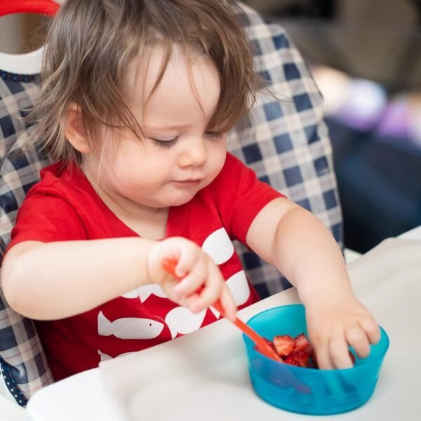 Kids 12-Piece Plastic Dinnerware Set - Colorful, BPA-Free, Dishwasher & Microwave Safe 1 71KFVwuVBHL. AC SL1500