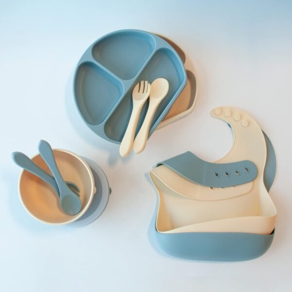 10-Piece Baby Feeding Set: Silicone Plates, Bowls, Bibs & Utensils, BPA Free 1 71VVF21y9rL. AC SL1500